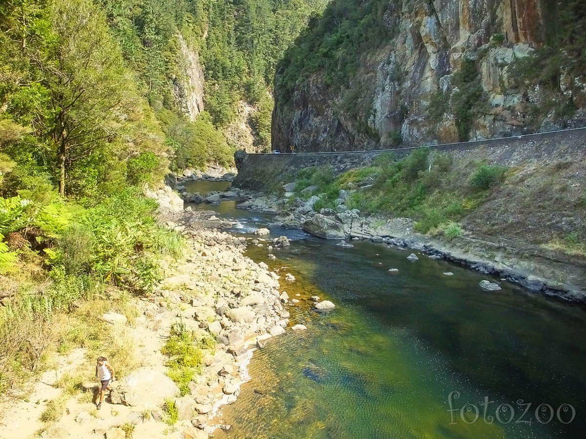 Karangahake szurdok. Felejthetetlen kanyonok közt kanyarog az út Forrás: Horváth Zoltán - Fotozoo