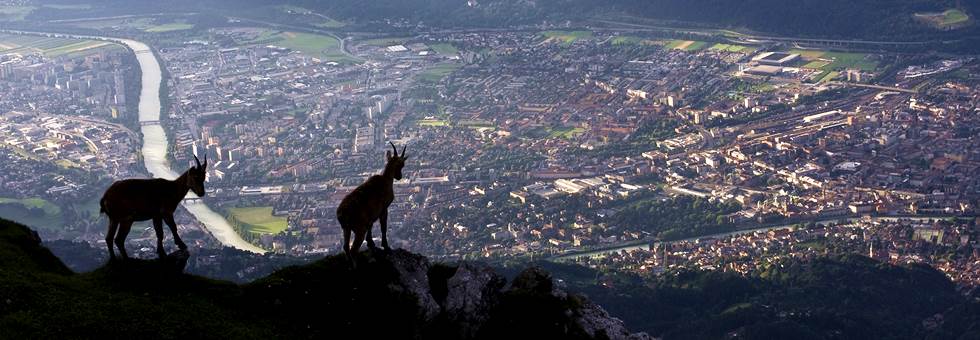 Innsbruck Alpine Terepfutó Fesztivál Hír