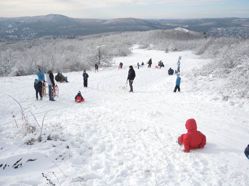 Téli sportok a Pilisi Parkerdőben Forrás: parkerdo.hu