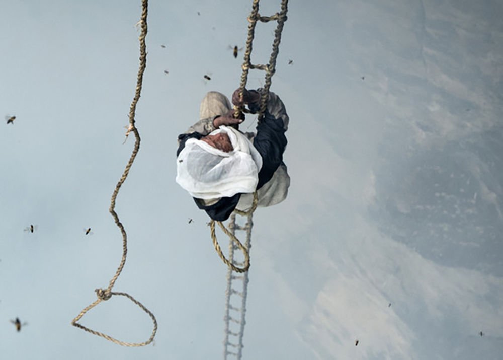 The Last Honey Hunter