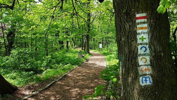 Túrázási kisokos - használd a szűrőket és találd meg a legjobbat!