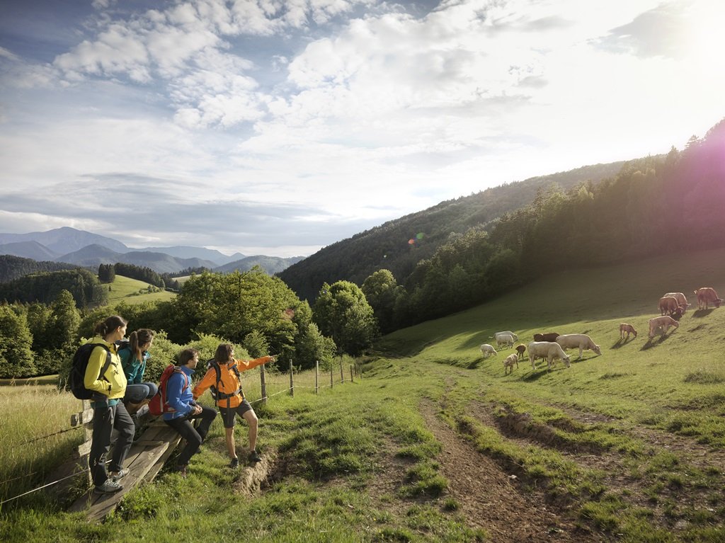 Gollinger Piestingtal Forrás: ŞWA_Florian Lierzer