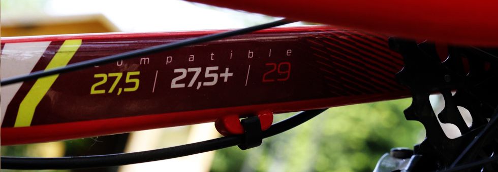 Rockrider XC500 bemutató