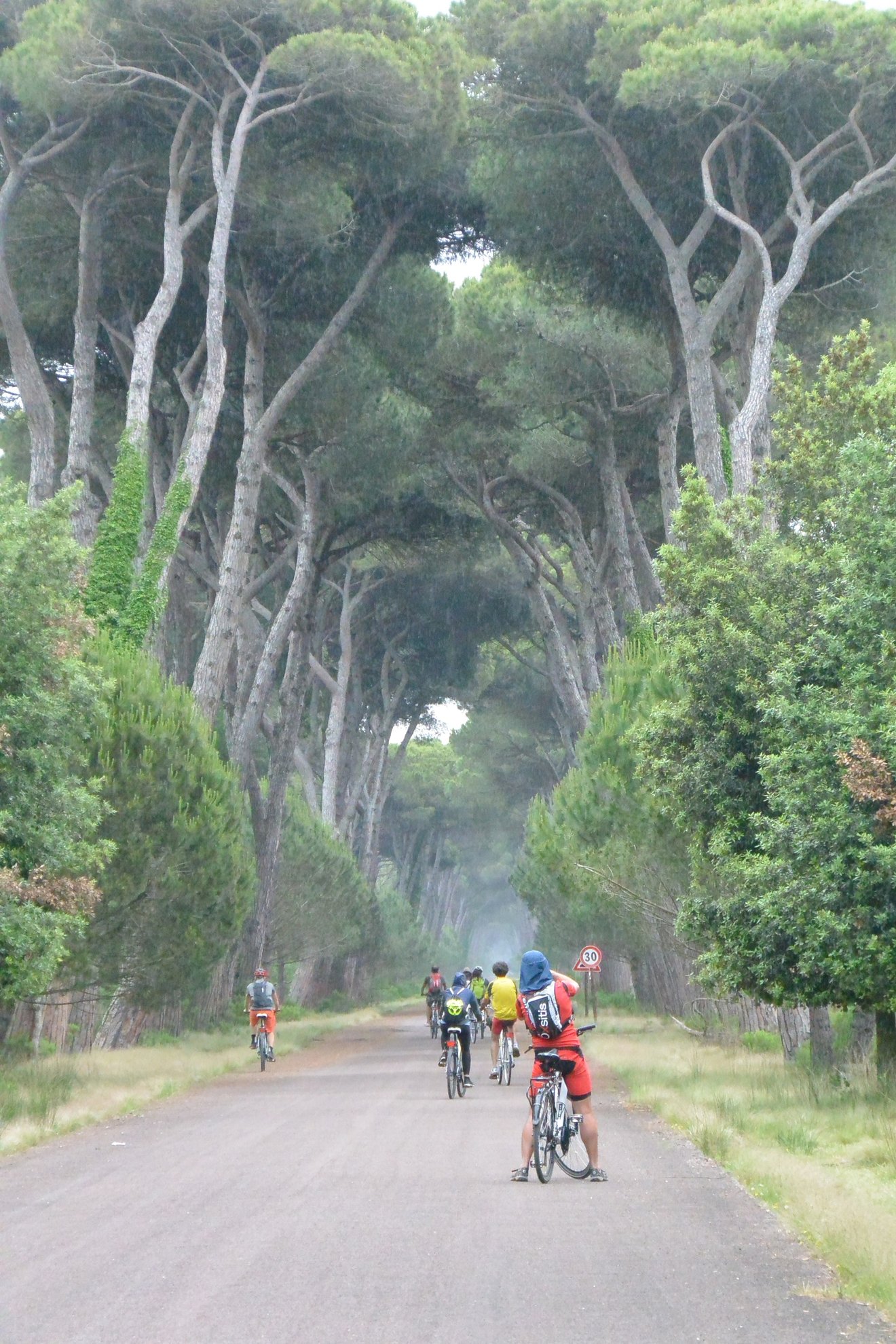 Migliarino San Rossore Massaciuccoli Nemzeti Park Forrás: Soul running