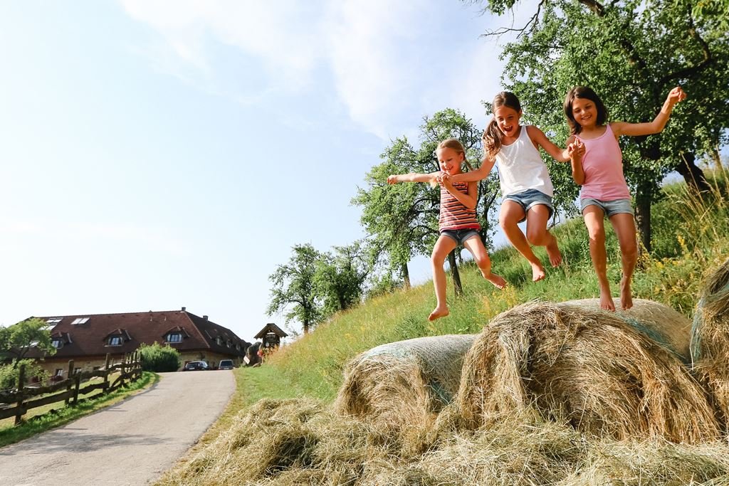 Családi üdülés Alsó-Ausztriában Forrás: (c) Niederösterreich-Werbung_schwarz-koenig.at