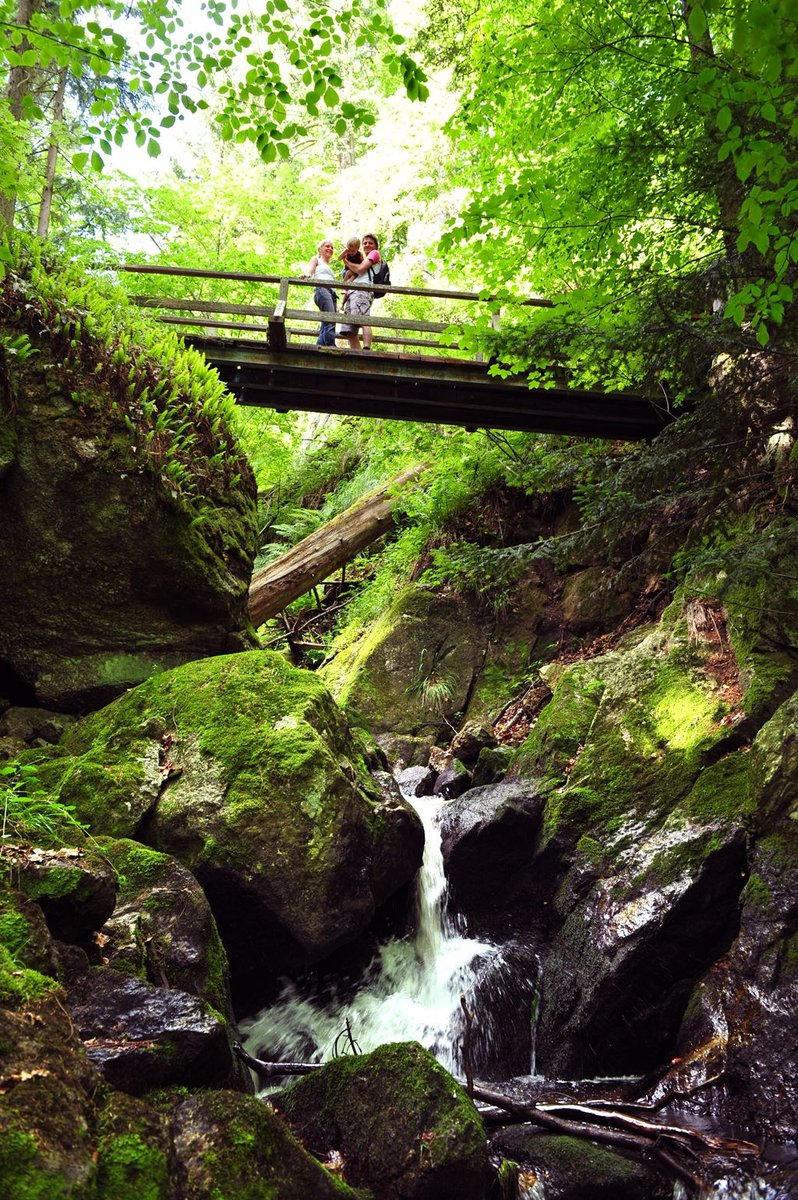 Családi kirándulás az Ysperklammban Forrás: (c) Waldviertel Tourismus_Robert Herbst