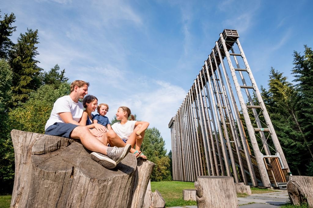 Égig érő létra a Hochmoor Schrems Natúrparkban Forrás: (c) Waldviertel Tourismus, ishootpeople.at