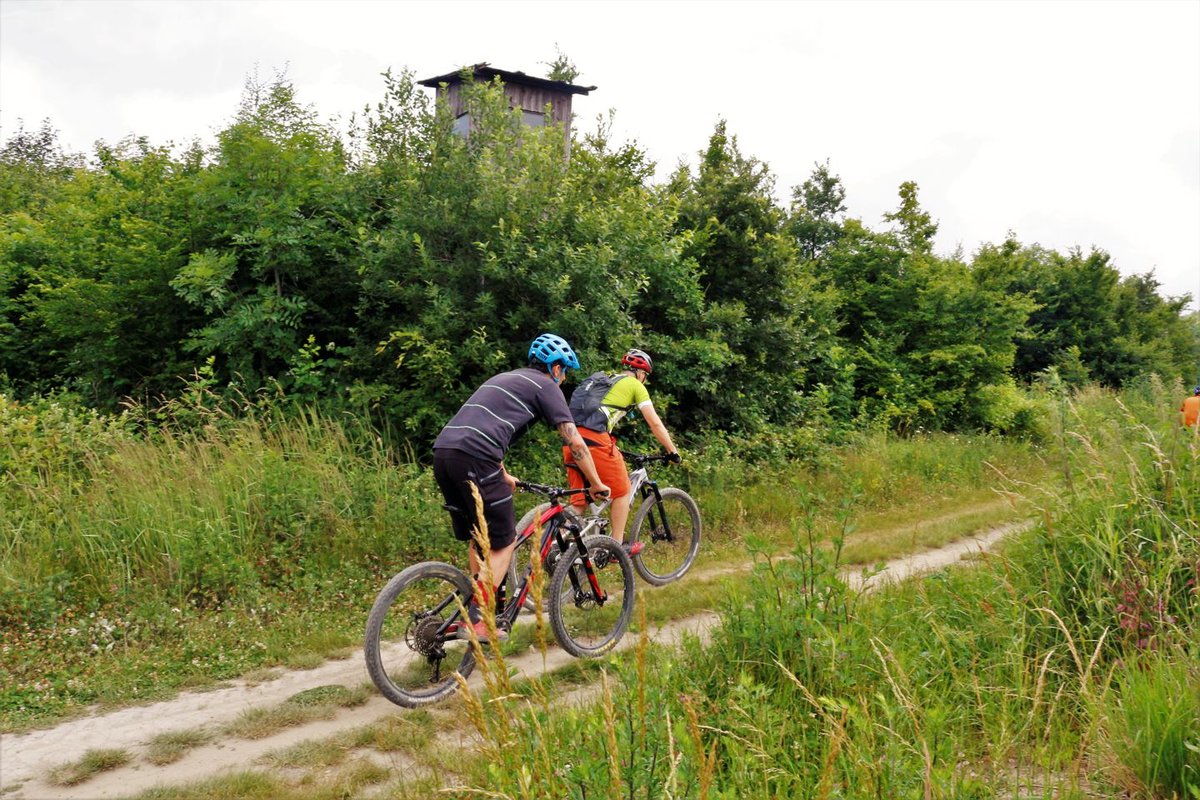 Hohe Wand Wiese trailcenter a bécsi erdőben