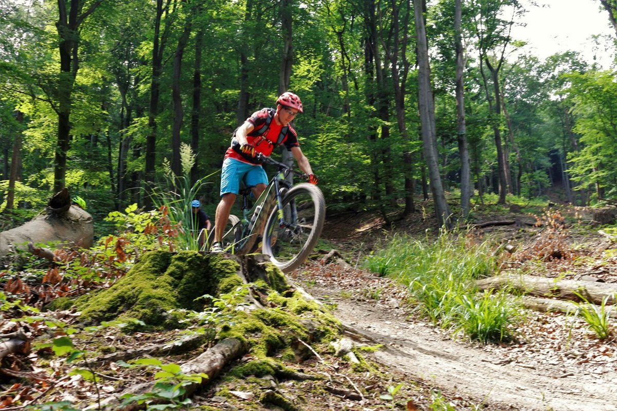 Hohe Wand Wiese trailcenter a bécsi erdőben