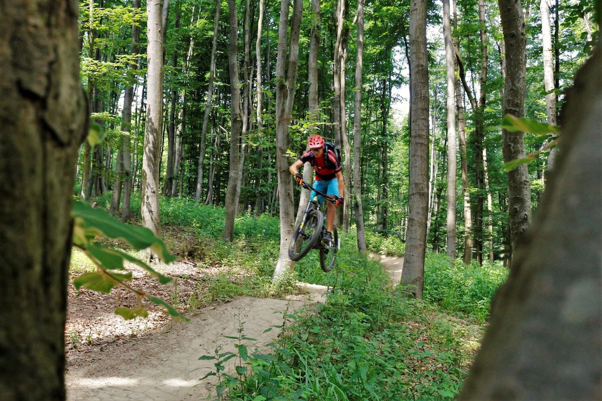 Hohe Wand Wiese trailcenter a bécsi erdőben Forrás: Mozgásvilág