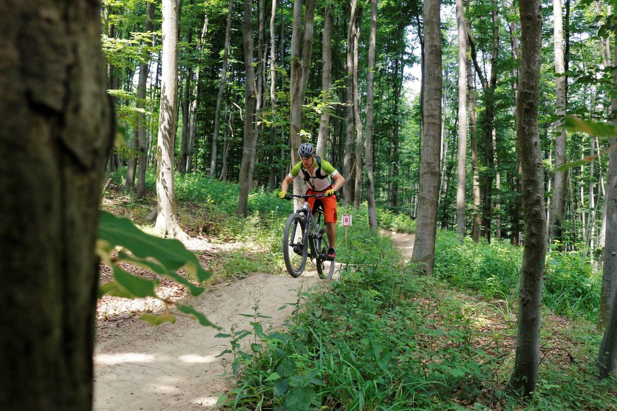 Hohe Wand Wiese trailcenter a bécsi erdőben