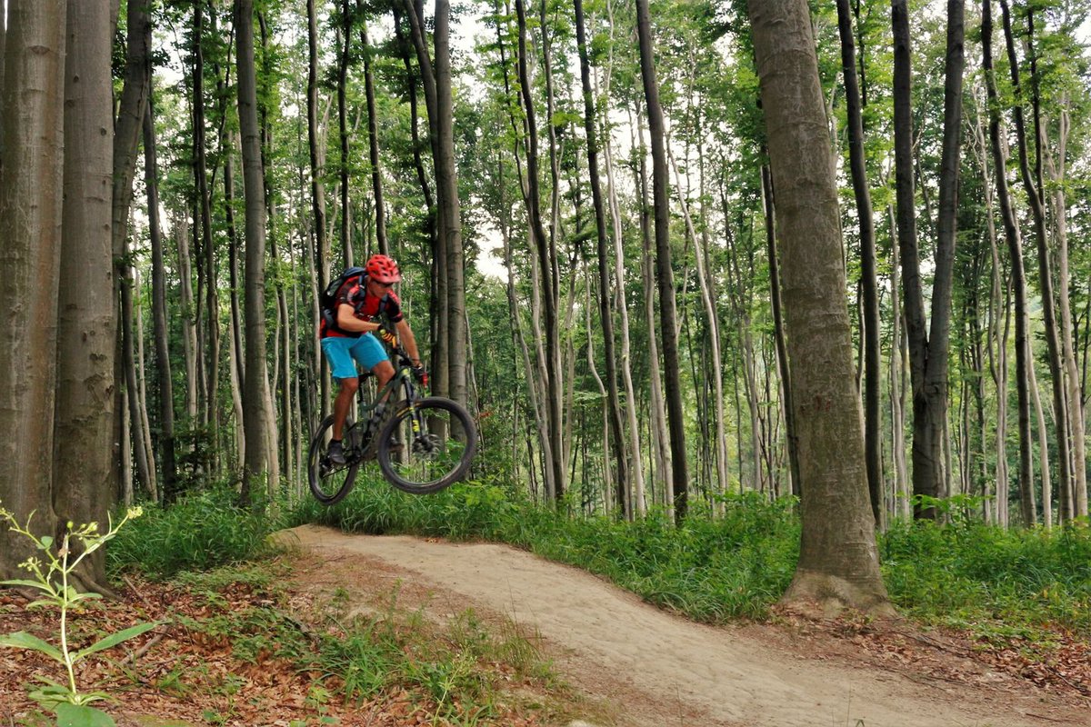 Hohe Wand Wiese trailcenter a bécsi erdőben