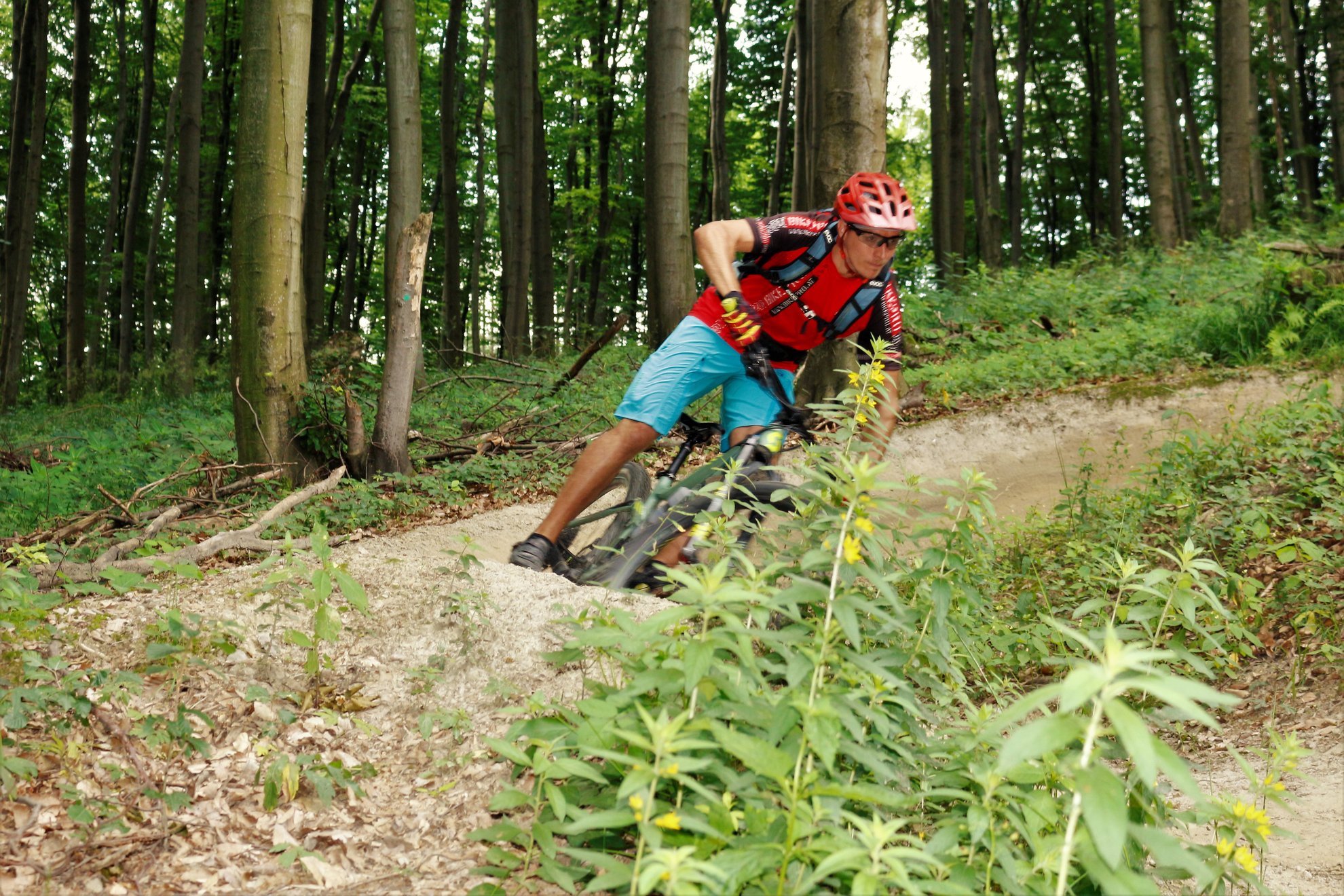 Hohe Wand Wiese trailcenter a bécsi erdőben