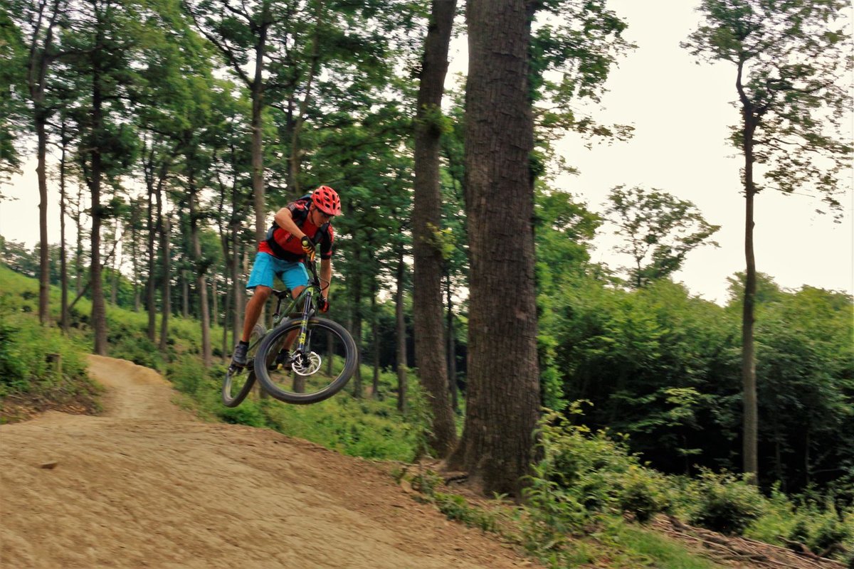 Hohe Wand Wiese trailcenter a bécsi erdőben