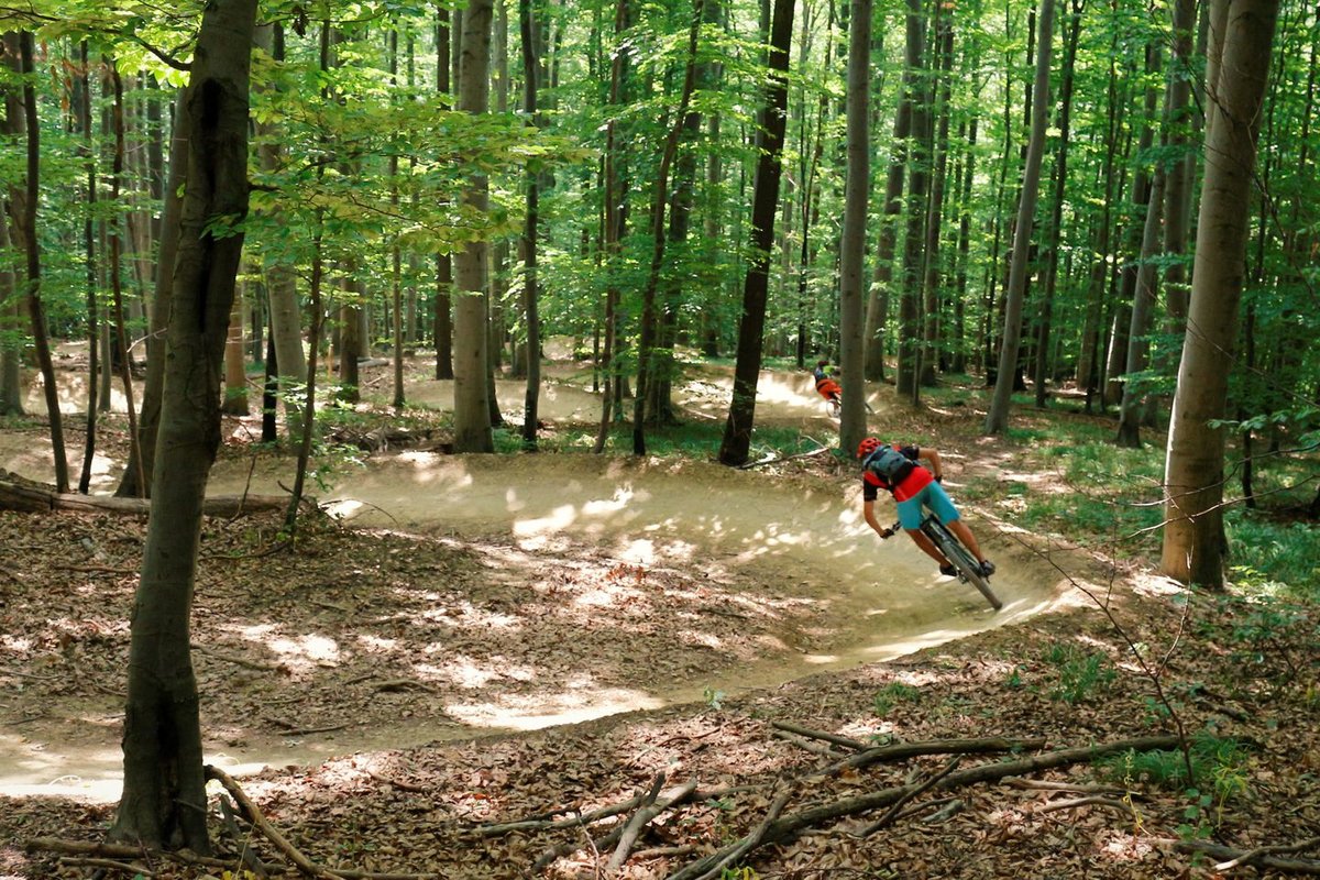 Hohe Wand Wiese trailcenter a bécsi erdőben