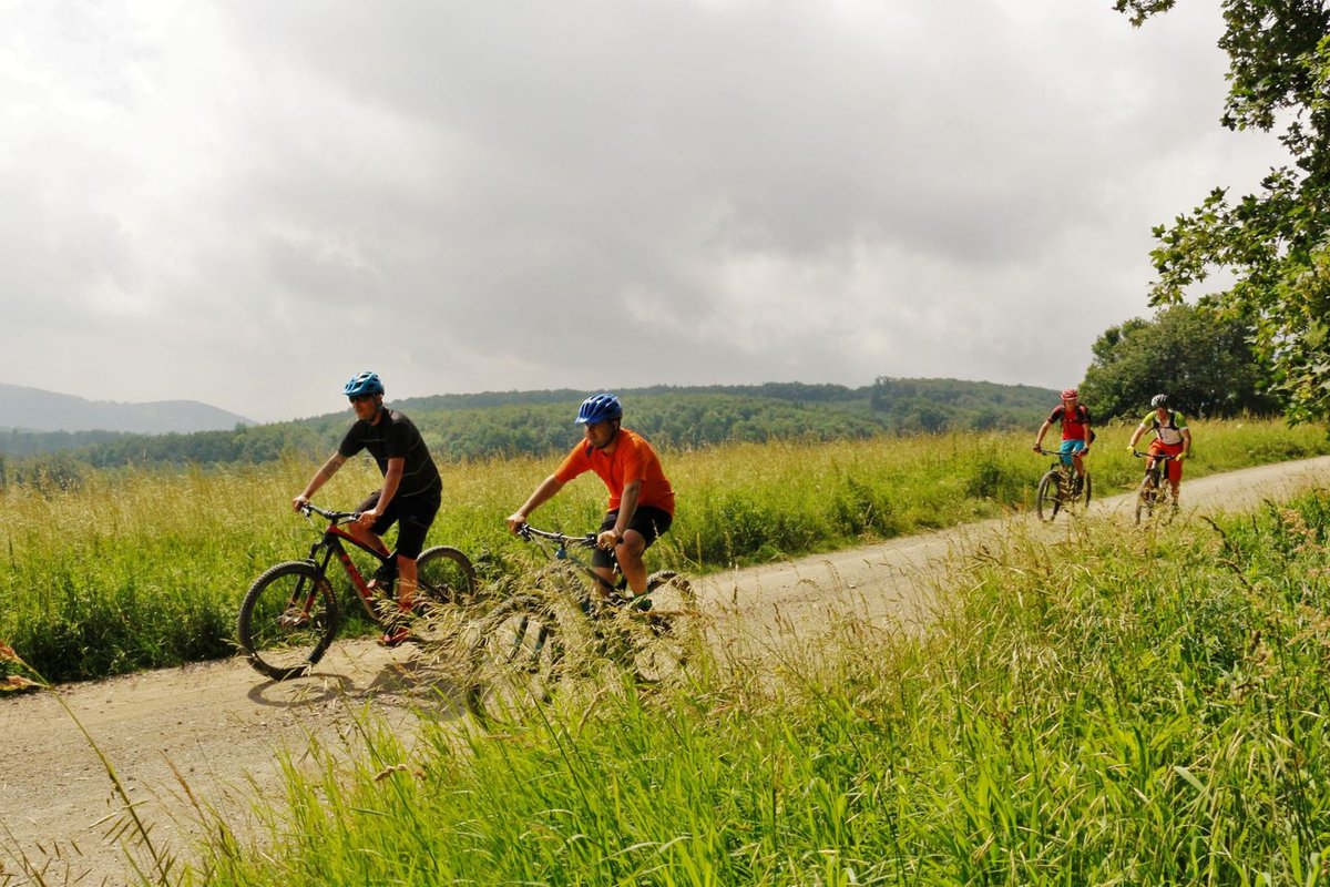 Hohe Wand Wiese trailcenter a bécsi erdőben