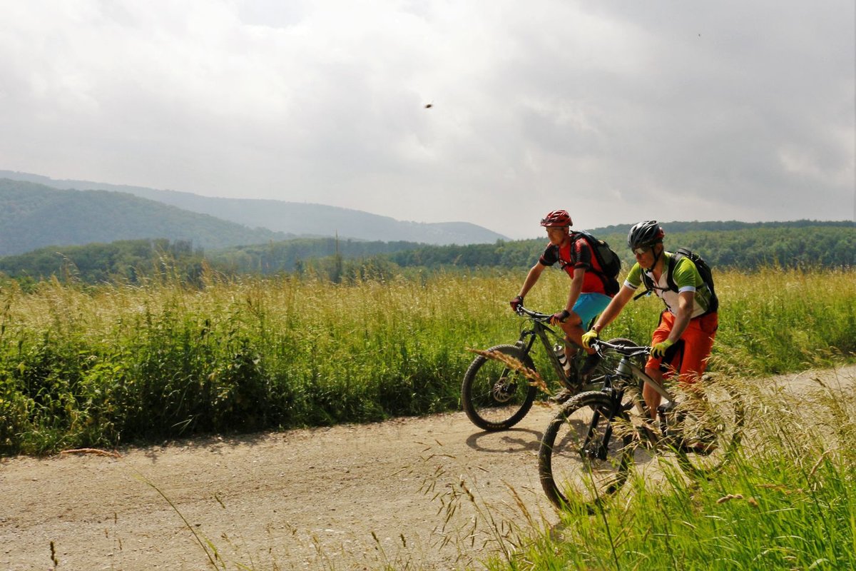 Hohe Wand Wiese trailcenter a bécsi erdőben Forrás: Mozgásvilág