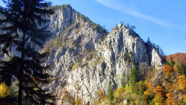 Mit találsz a Raxon? Mindent!