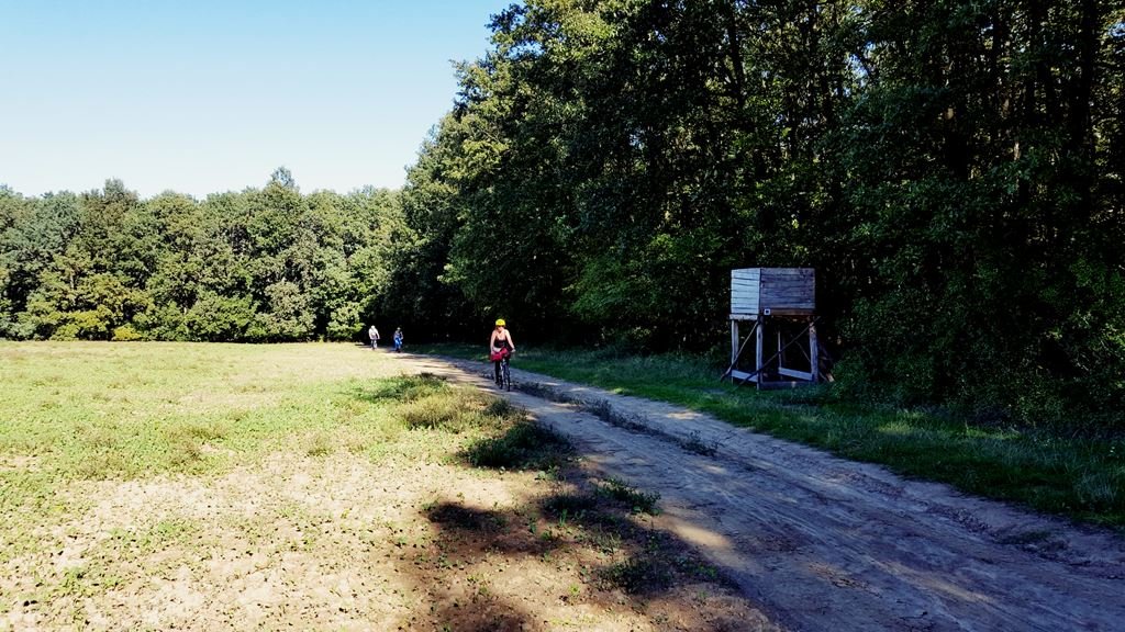 Érkeznek a többiek