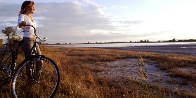 Neusiedler-See Radweg