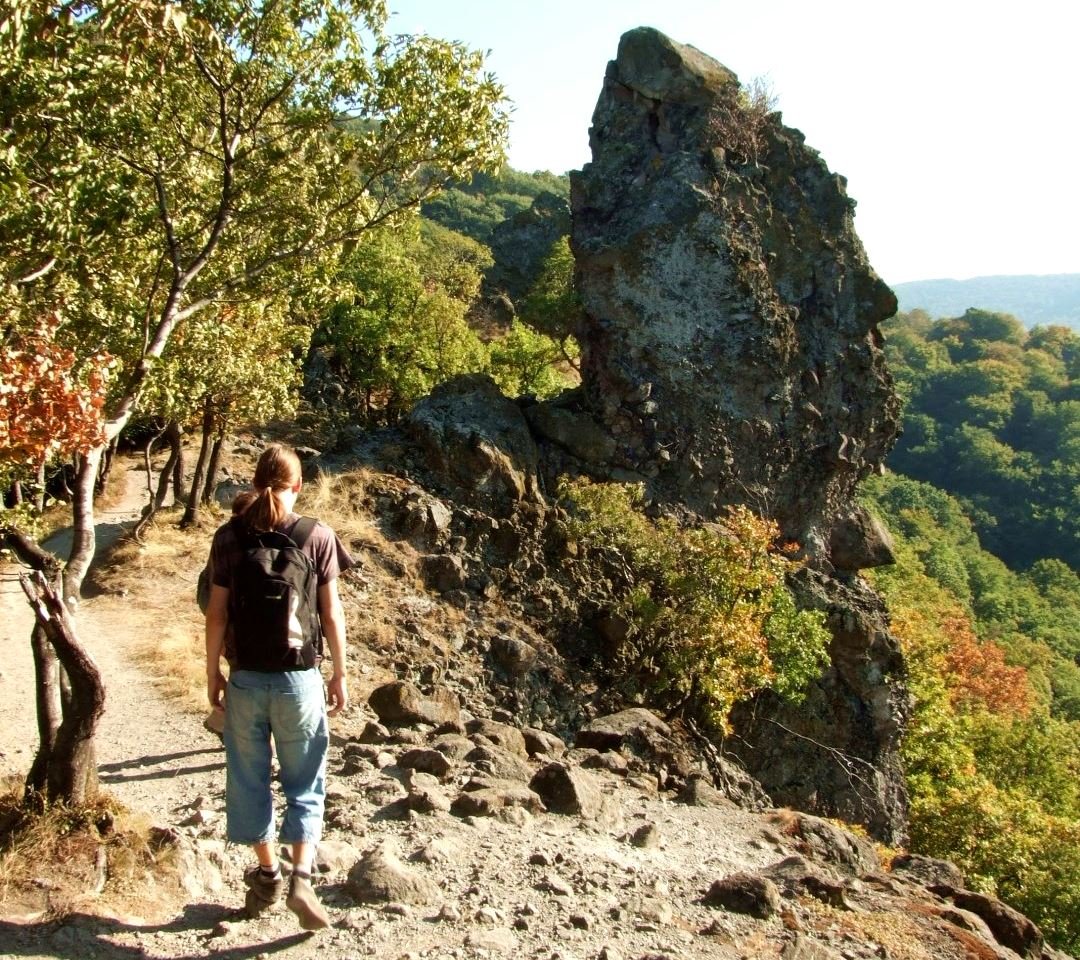 50 éves jubileum - Vadálló-kövek Forrás: parkerdo.hu