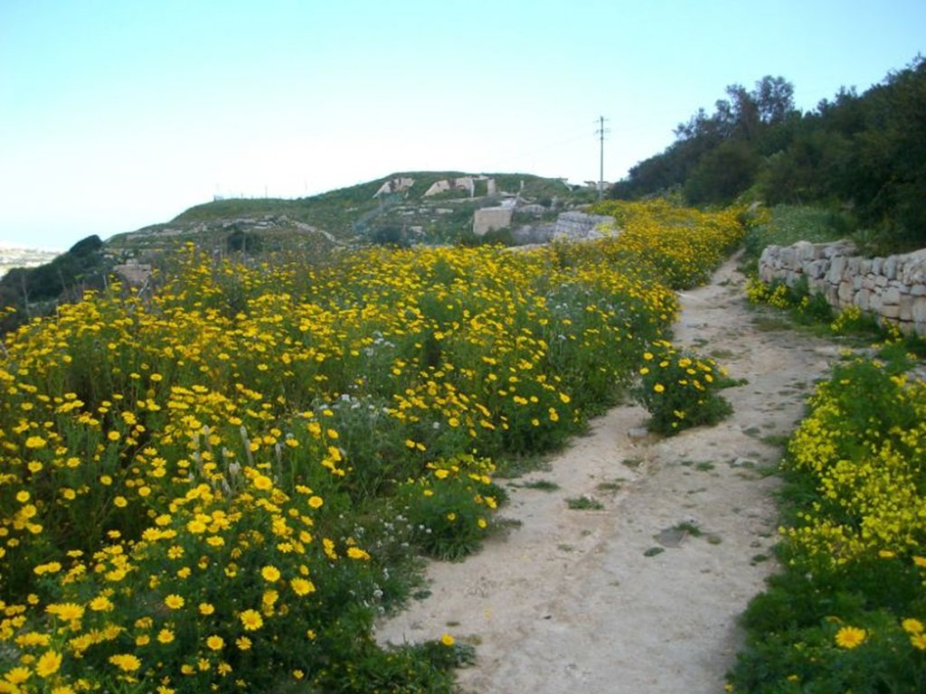 Victoria Lines Fort Mosta - máltai túraútvonal