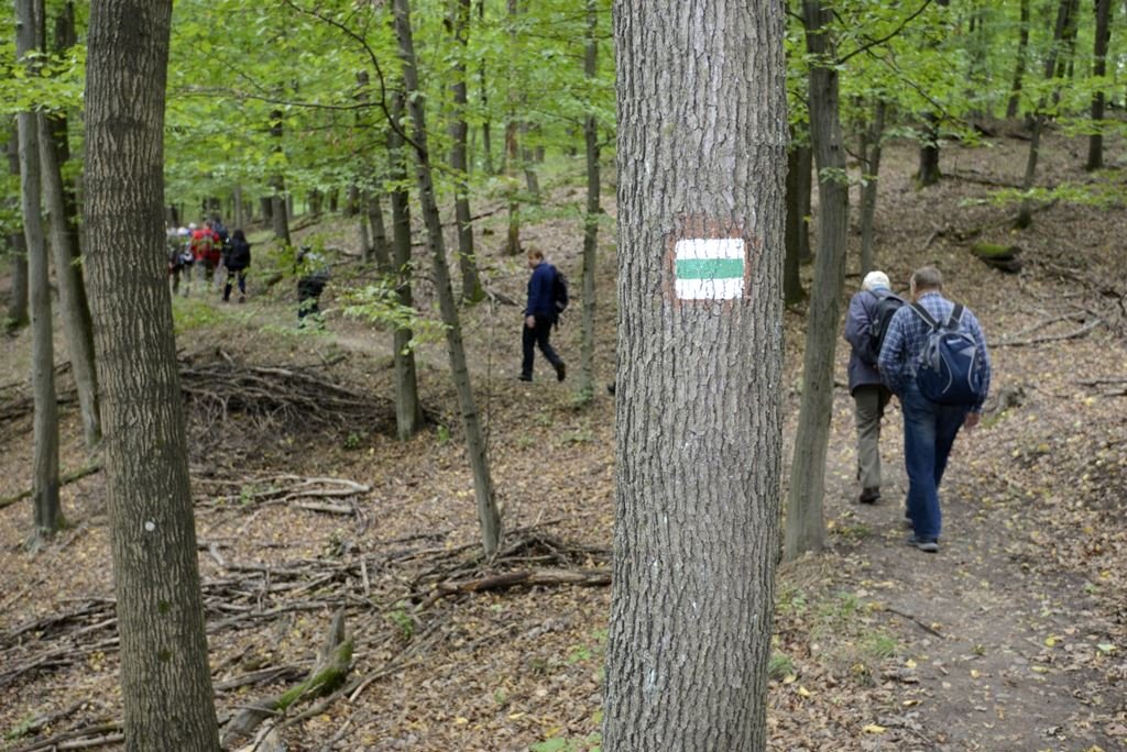 Vezetett túrák a Pilisi Parkerdőben Forrás: Pilisi Parkerdő Zrt.