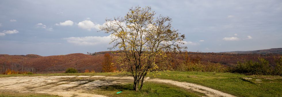 Muraföldét kerékpározásra teremtették Hír