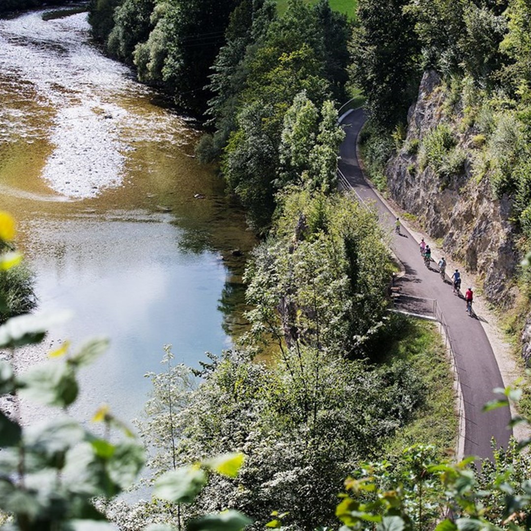 Határtalan szabadság a drótszamáron