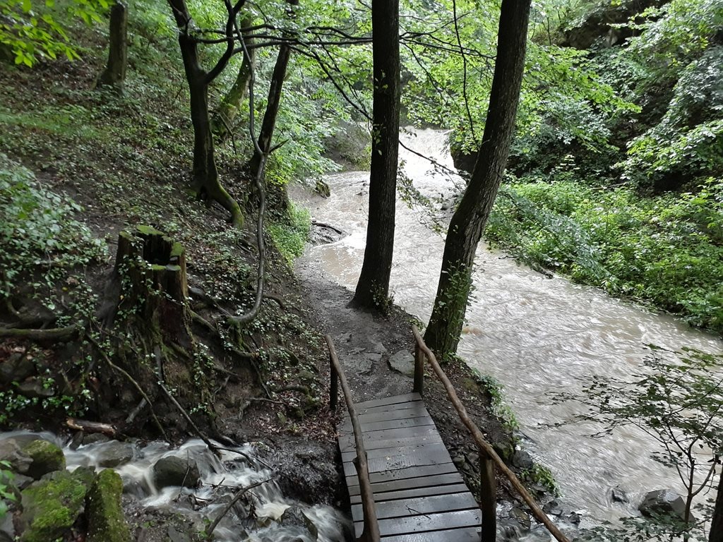 Apátkúti patak Forrás: Pilisi Parkerdő Zrt.