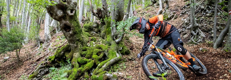 Egy verseny, ahol a részvétel a fontos - Trans Julius Hír