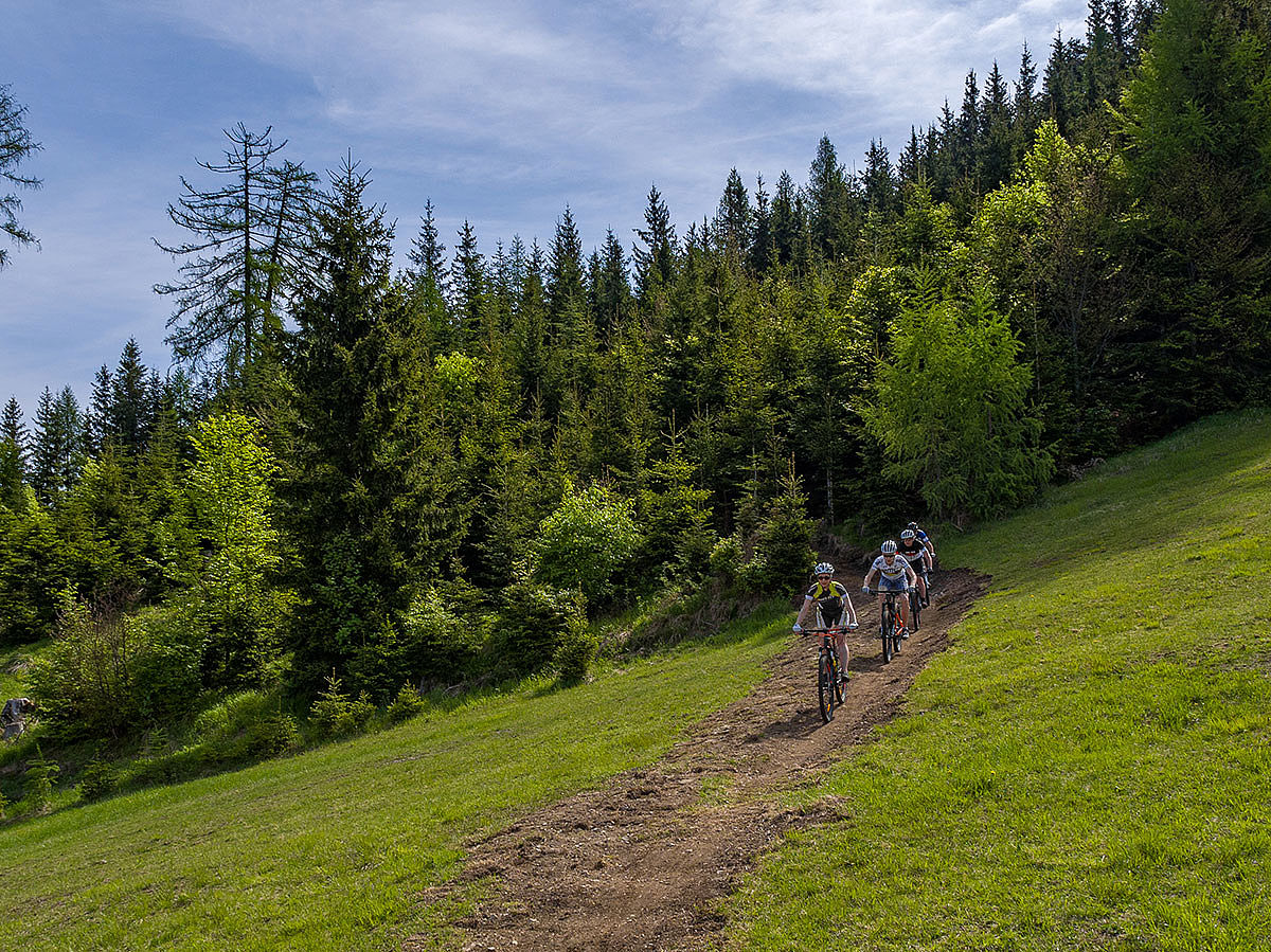 Bike trail