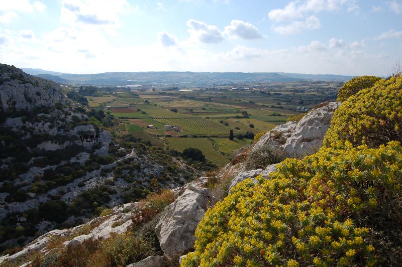 Panoráma a Victoria Lines-ról Gharghur-nál Forrás: Victoria Lines Malta