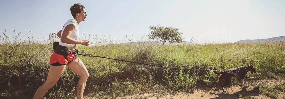 Fuss a kutyáddal! Hír