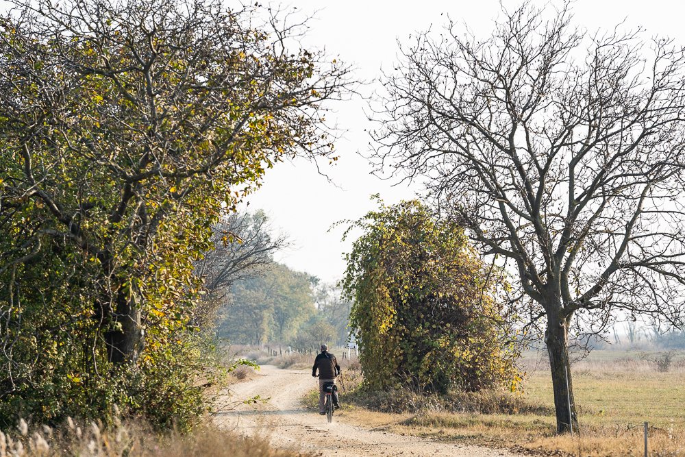 Hangulatos őszi bringatúrák Forrás: (c) Burgenland Tourismus_Birgit Machtinger