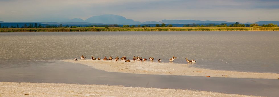 Őszi kerékpártúrák a B20 Lackenradweg kerékpárúton