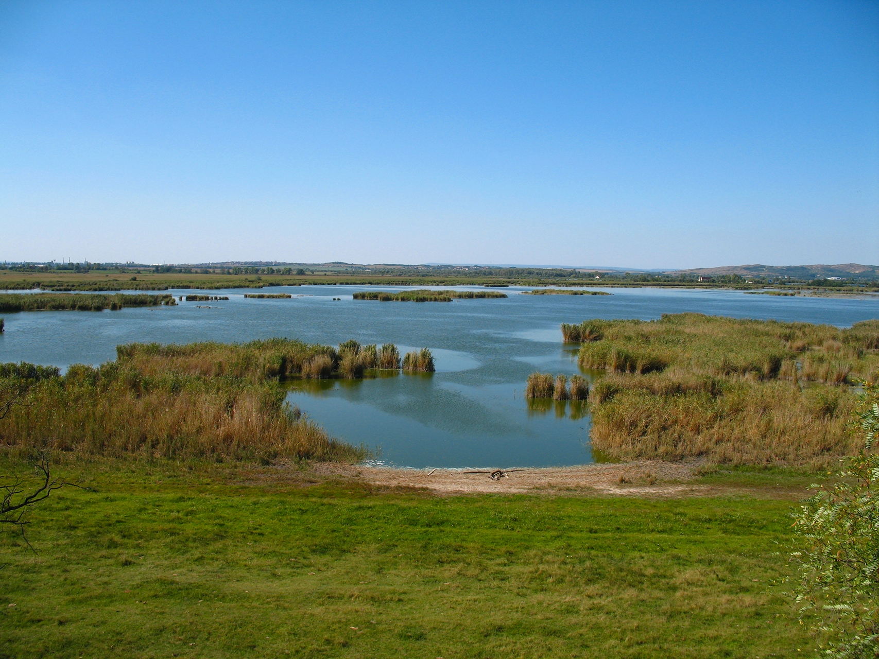 A dinnyési itató partja (Fenyvesi Tamás)