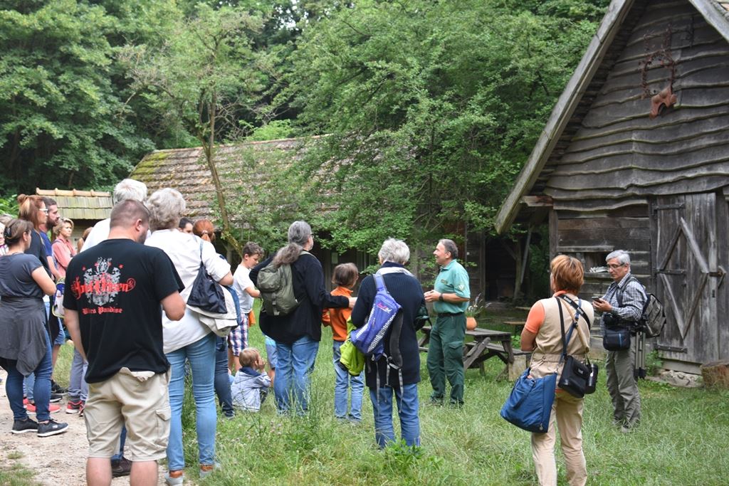 Séta az agostyáni ökofaluban (fotó: Láng Petra Zsófia)