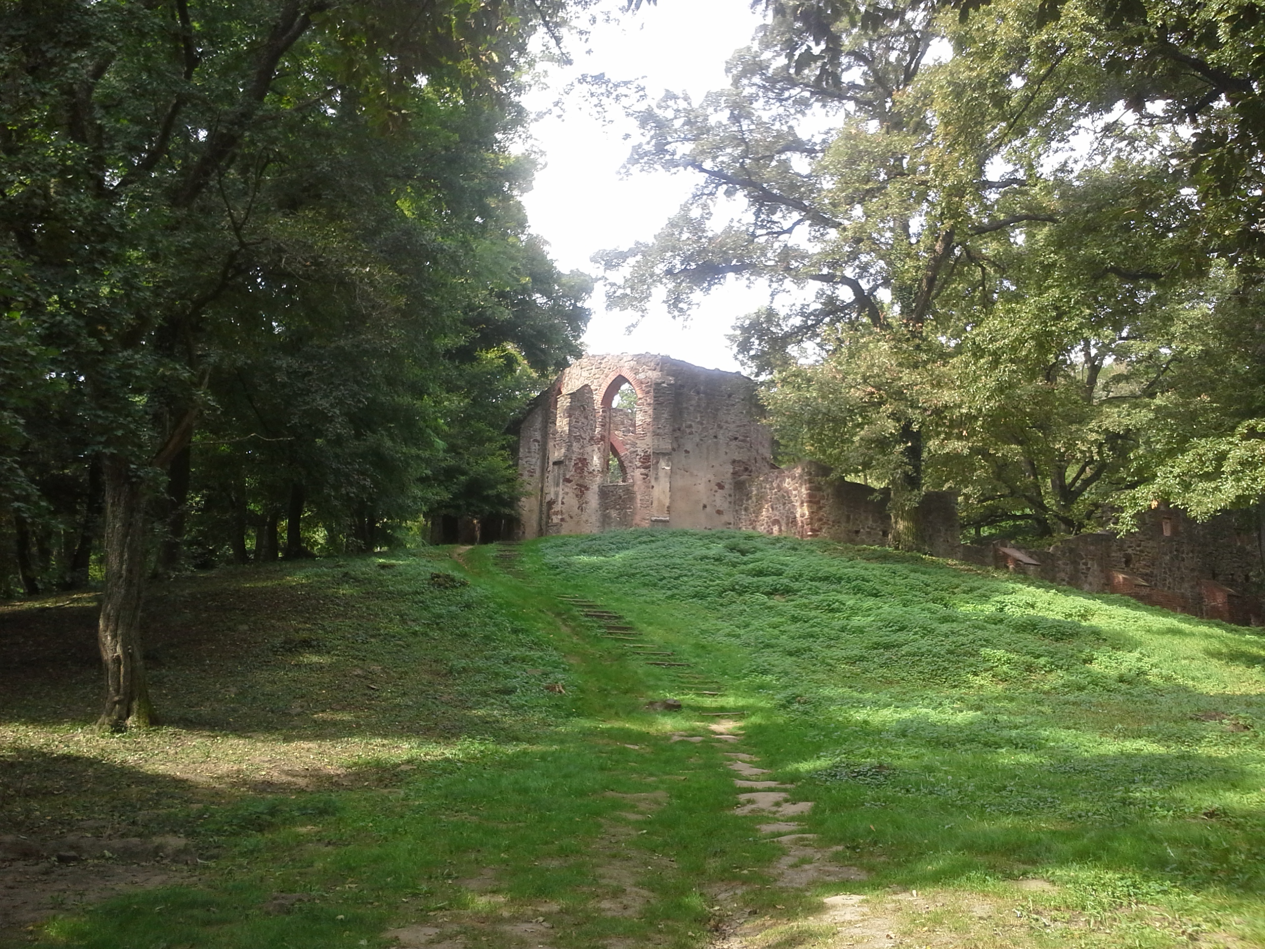 Pálos kolostor romja