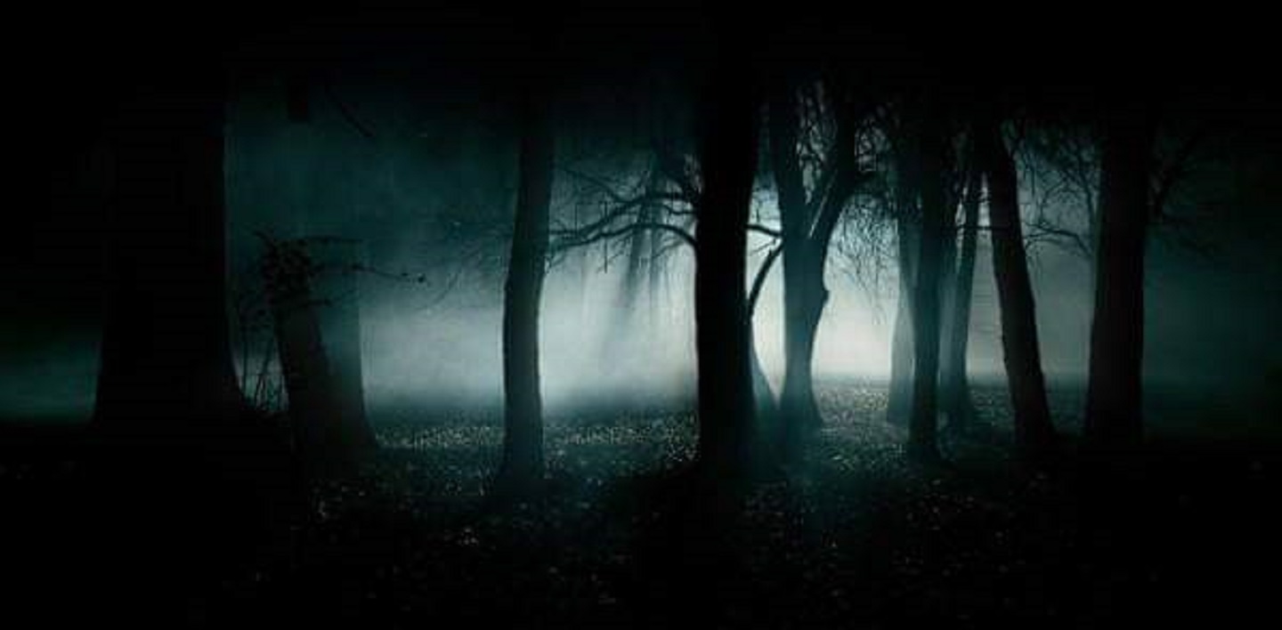 Éjszakai kerékpározás