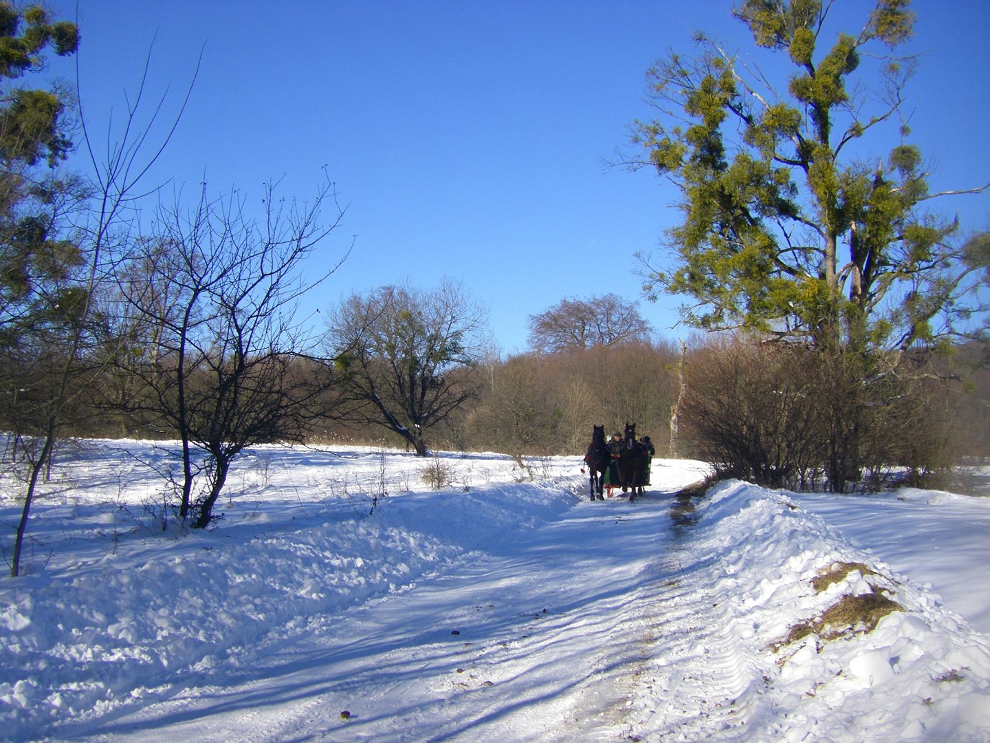 A távok 15 és 30 km.
