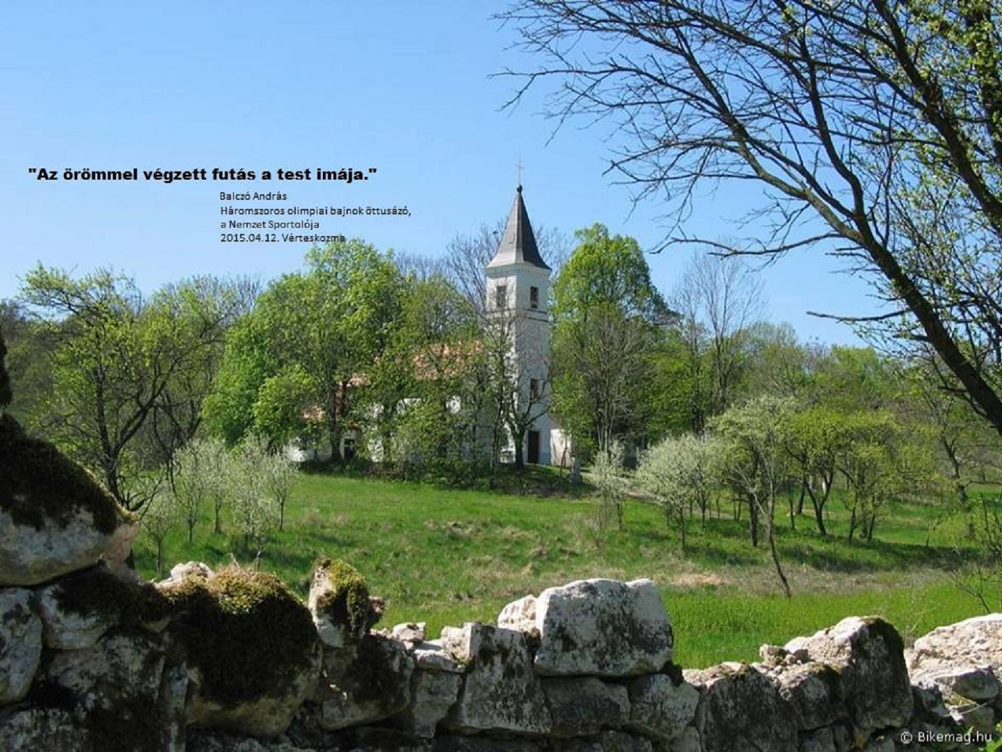 15. Vérteskozma Rock \'n Roll Futás