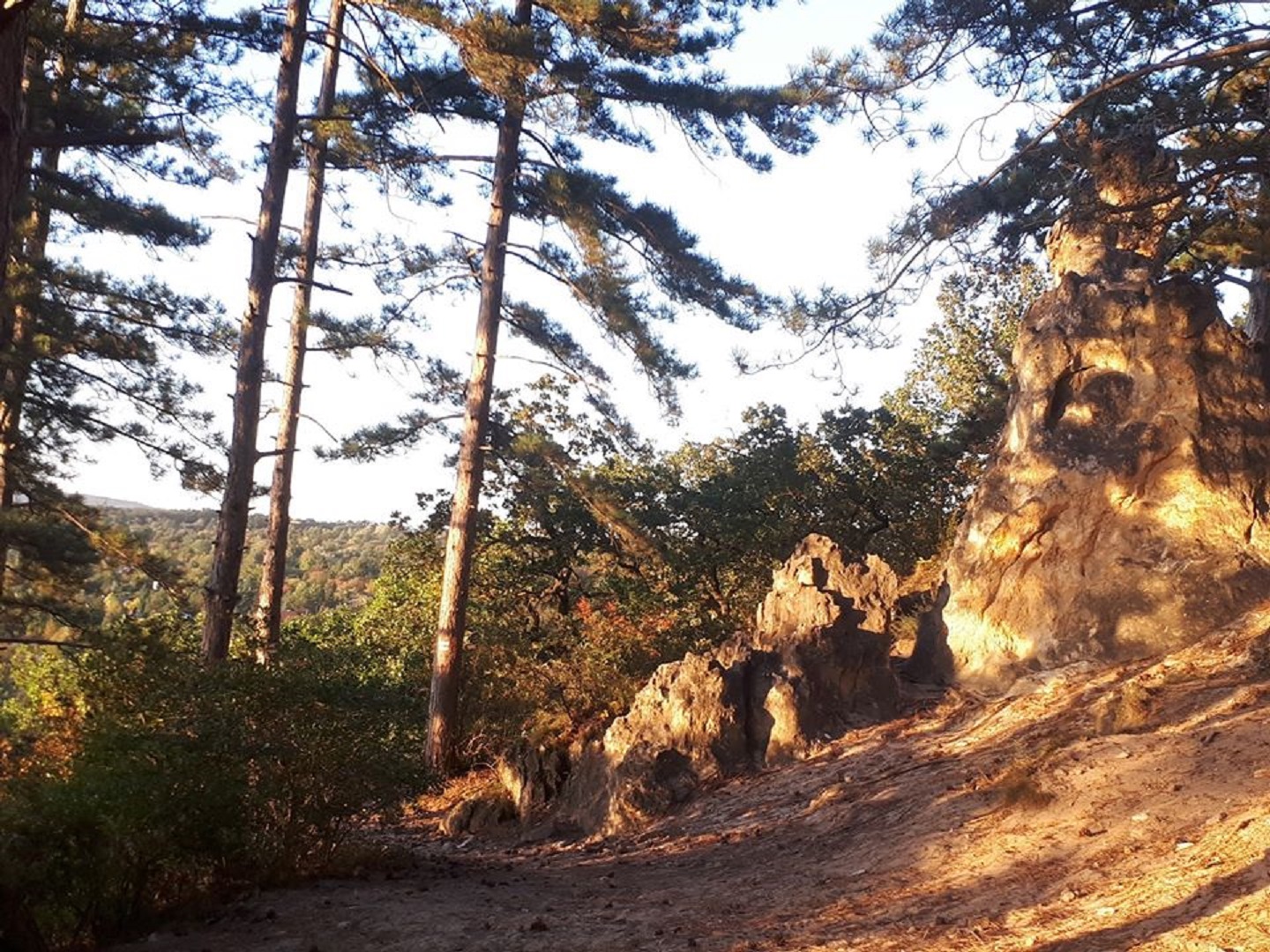 II. BUMM Hegyvidék Terepmaraton