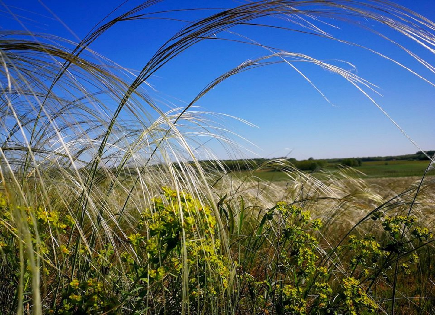 II.Nyakvágó Teljesítménytúra 14km, 22 km, 34km