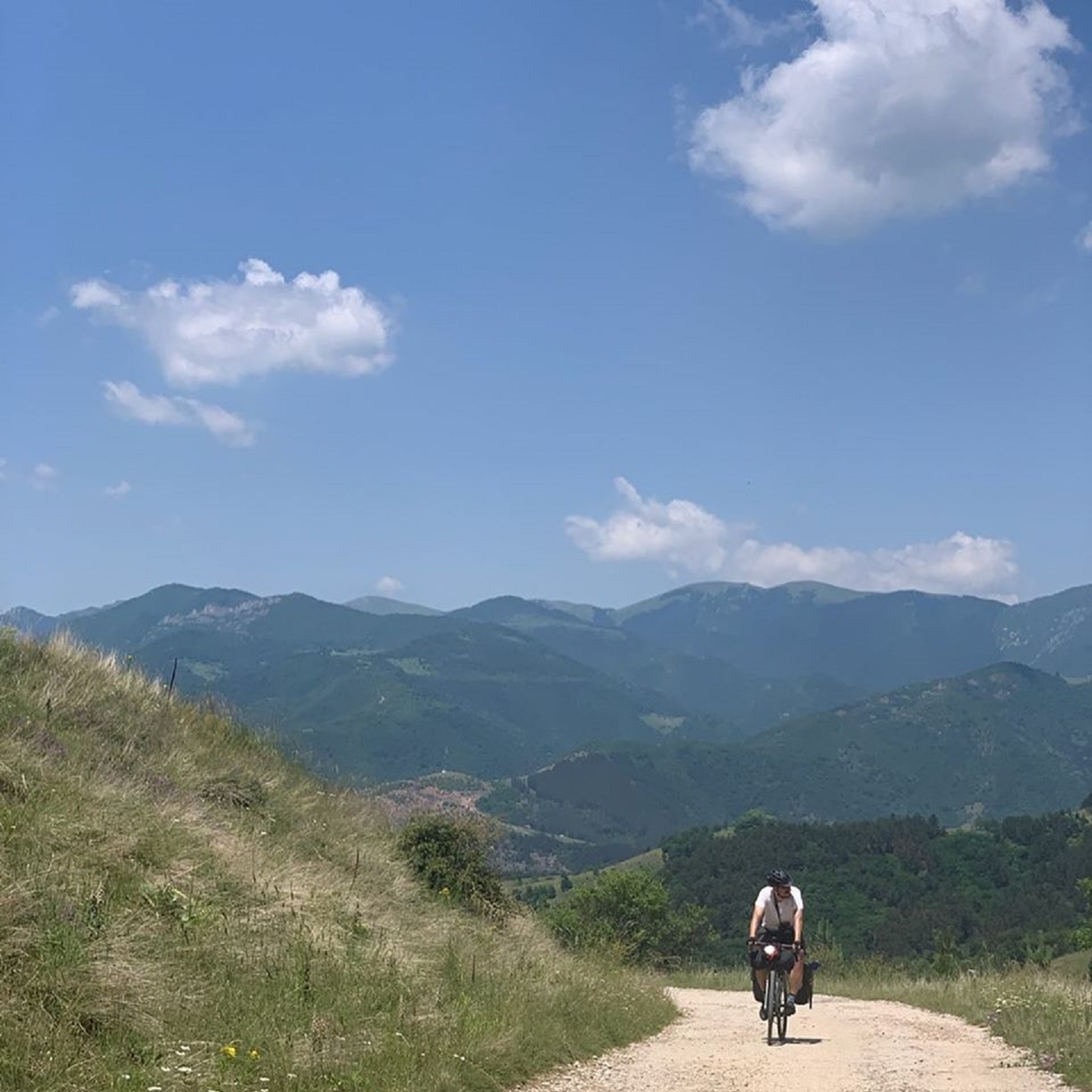 Hungarian divide 2020