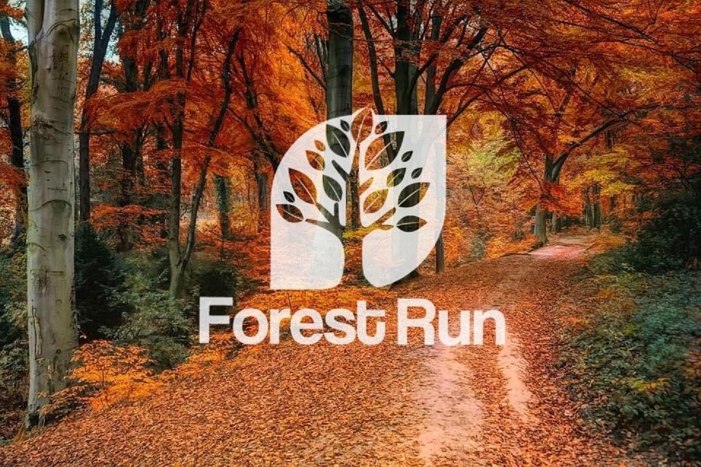Forest Run 2020
