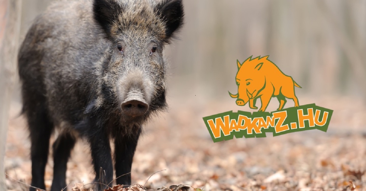 WadkanZ Trail Ősz 2020