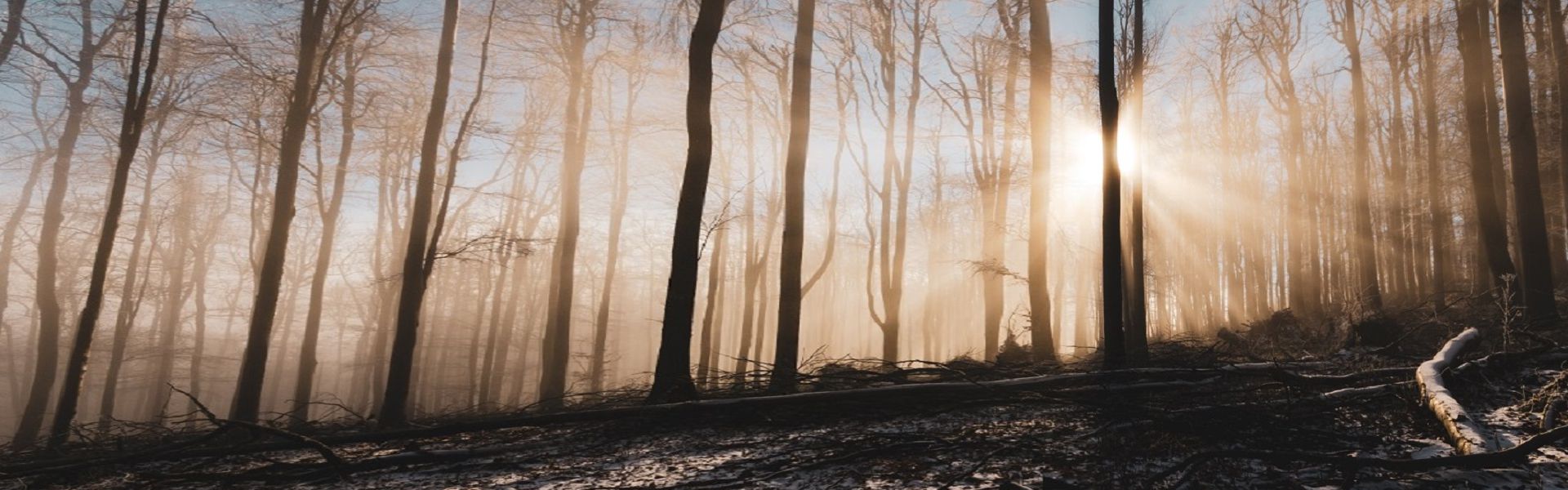 Királyrét, a Börzsöny lüktető szíve
