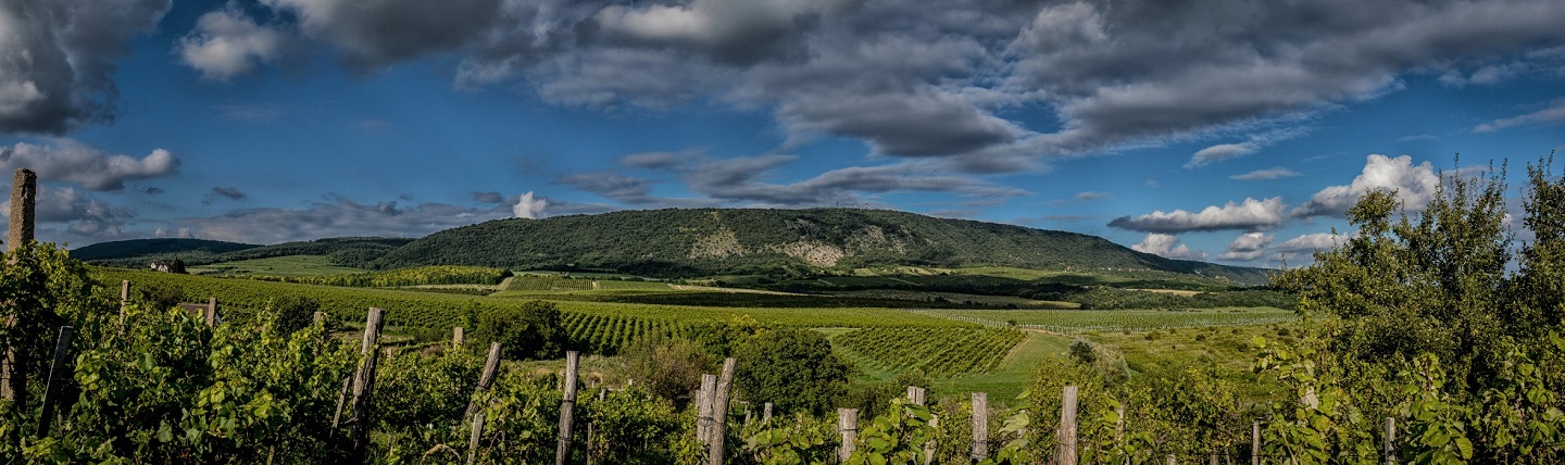 VII. Ezerjó félmaraton