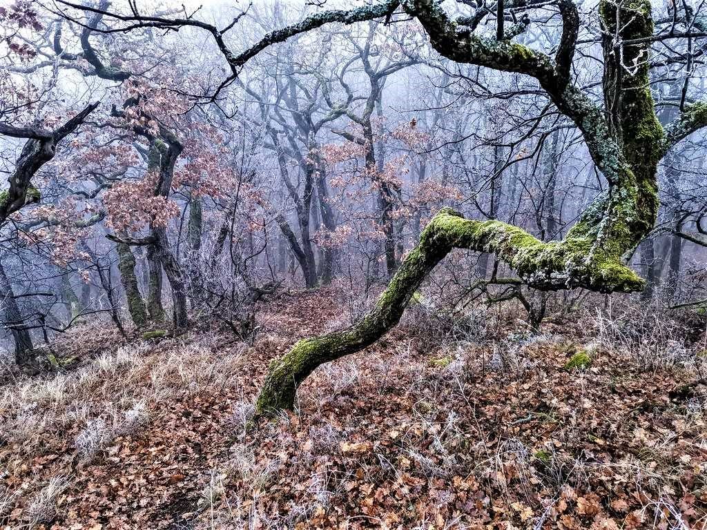 A Kis-Farkas-kői sziklák és a Juháy barlanglakás